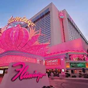 Flamingo & Casino Semesteranläggning (resort) Las Vegas